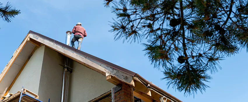 Birds Removal Contractors from Chimney in Crawfordsville, IN